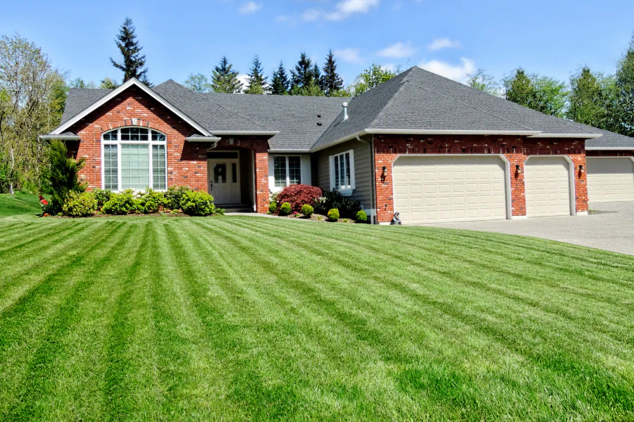 service lawn fertilization work